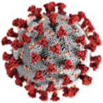 Coronavirus As Seen Under An Electron Microscope