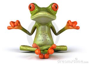 Avatar - Zen Frog